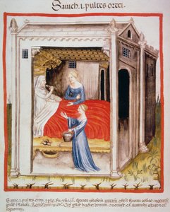 Nova 2644 fol.44v Tasting ohrakeitto, Tacuinum Sanitatis tekijältä Italian School