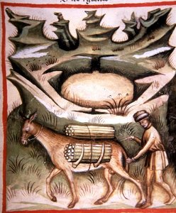 Nova 2644 fol.90r Lumi ja jää, 