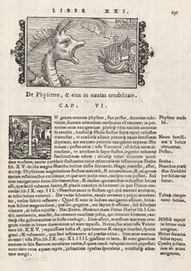 Sivu 735 teoksesta The History of the North, kirjoittanut Magnus Olaus, Rooma 1565 (painatus ja kaiverrus) tekijältä Italian School