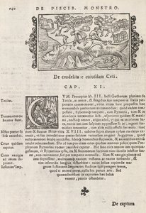 Sivu 740 teoksesta The History of the North, kirjoittanut Magnus Olaus, Rooma 1565 (painatus ja kaiverrus) tekijältä Italian School