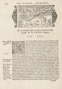 Sivu 742 Magnus Olausin teoksesta Northern Gentivus, Rooma 1565 (painatus ja kaiverrus) tekijältä Italian School