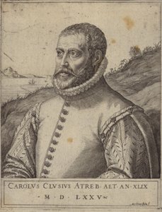 Carolus Clusiuksen muotokuva tekijältä Italian School