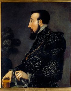Henry II:n muotokuva, Ranskan kuningas (1519-1559) Italian koulukunnan maalaus. 16. vuosisata. Aurinko 0,58x0,46 m Chantilly, Conde-museo tekijältä Italian School