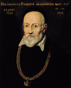 Hieronymus Fabriciuksen muotokuva