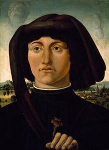 Muotokuva nuoresta miehestä, jolla on vaaleanpunainen kukka, n. 1475-85 (tempera puulla) tekijältä Italian School