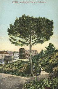 Rooma, Italia, amfiteatteri ja Colosseum (värilitra) tekijältä Italian School