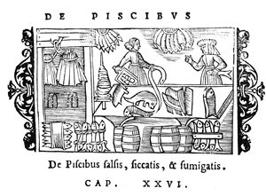 Kalan suolaus, kuivaus ja savustaminen, kuvitus Olaus Magnuksen (1490-1558) Historia de Gentibus Septentrionalibusista, julkaistu Roomassa, 1555 tekijältä Italian School