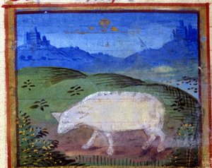 Oinaan merkki. Italialainen horoskooppi, 1400-luvun puoliväli. tekijältä Italian School