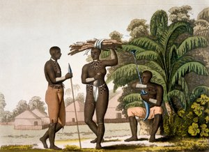 Kaakkoisrannikko: Cafren kansakunta, 1820-30-luku tekijältä Italian School