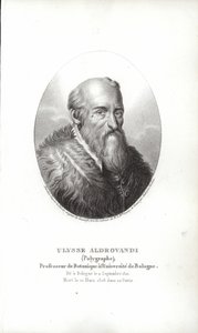 Ulisse Aldrovandi tekijältä Italian School