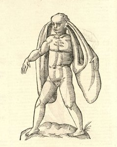 kuva Homo Fanesius aurituksesta Aldrovandis History of Monsters , 1642 tekijältä Italian School