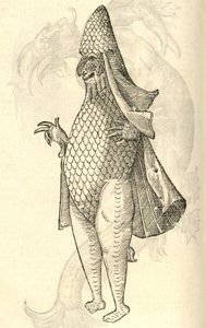 kuva Monstro Marinuksesta Aldrovandis History of Monsters -julkaisusta 1642 tekijältä Italian School