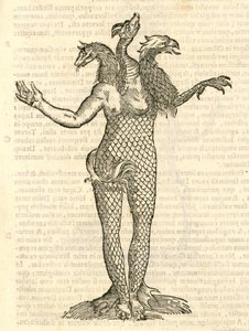 kuva kolmipäisestä hirviöstä, jossa on ketun, lohikäärmeen ja kotkan pää, Aldrovandis History of Monsters, 1642 tekijältä Italian School