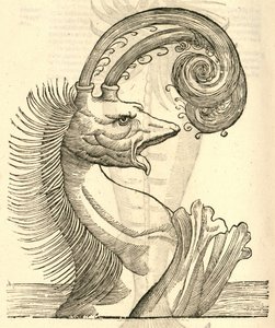 kuva Pseudo Physeteristä Aldrovandus History of Monsters , 1642 tekijältä Italian School