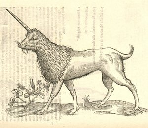 kuva Kampurchista Aldrovandus History of Monsters -julkaisusta, 1642 tekijältä Italian School