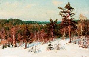 Talvi - Näkymä metsään tekijältä Ivan Fedorovich Choultse