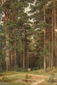 Kesäpäivä, Merikiul, 1895 tekijältä Ivan Ivanovich Shishkin