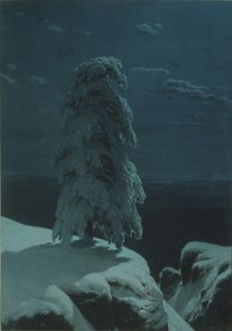 Pohjoisen erämaassa tekijältä Ivan Ivanovich Shishkin