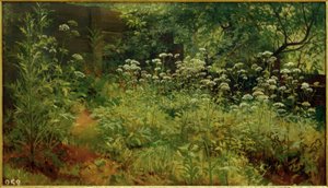 Giersch. Pargolowo tekijältä Ivan Ivanovich Shishkin