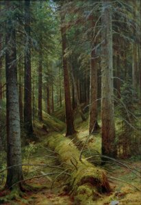 Venäjän metsässä