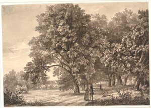Näkymä tielle metsässä lähellä Sorøa, Seelanti tekijältä Johan Christian Dahl