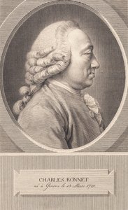 Charles Bonnet tekijältä J.F. Clemens