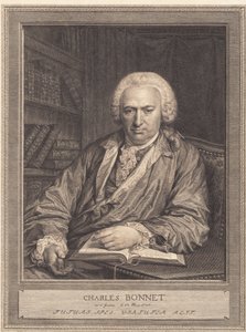 Charles Bonnet tekijältä J.F. Clemens