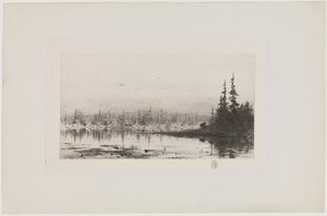 Järvi tekijältä J.P. Wildenrath