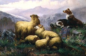 Lammaskoirat ja lampaat Skotlannin ylämailla tekijältä J.W. Morris