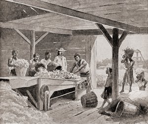 Orjat, jotka työskentelevät 1800-luvun puuvillaginin kanssa istutuslaitoksella Yhdysvaltojen eteläosissa, kirjasta The History of Our Country, julkaistu 1905 (litho)