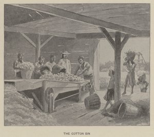 Puuvilla gin (litho)