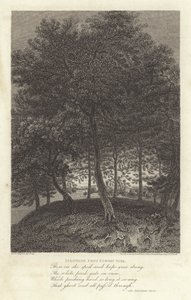 Robert Bloomfield, runoilija: Fakenham Euston Parkista (kaiverrus)