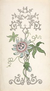Suunnittelu paneelikoristeelle, jonka keskipiste on intohimokukka, 1828-40. tekijältä J Hulme