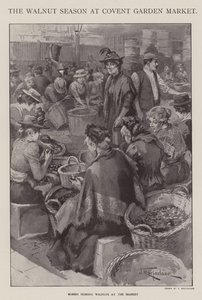 Saksanpähkinäkausi Covent Garden Marketilla Lontoossa (litho)
