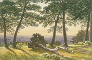 Hampstead Heath, Lontoo, 1830 tekijältä J Powell