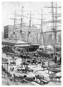 Shipping, Circular Quay, Sydney, Uusi Etelä-Wales, Australia, 1886.