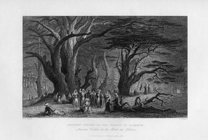 Muinaiset setrit Libanonin metsässä, 1841