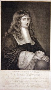 Sir Isaac Newton tekijältä J. T. Wedgewood