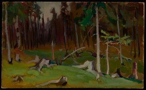 Metsän aukea tekijältä Jacek Malczewski