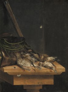 Kuolleet linnut tekijältä Jacob Biltius