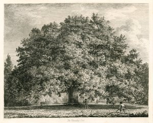 Chandos Oak, Michendon House, Southgate, Lontoo tekijältä Jacob George Strutt