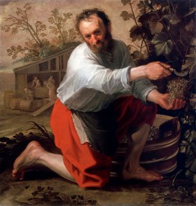 Viininviljelijä, 1628