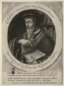 John Calvin tekijältä Jacob Gole