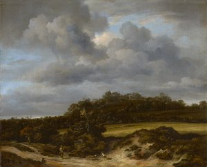Maissipelto, 1660