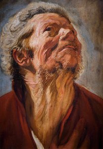 Tutkimuspäällikkö tekijältä Jacob Jordaens