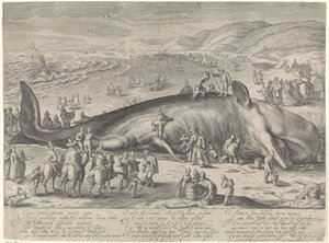 Valas jumissa Berckheyssä, 1598