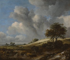 Viljapelto taustalla Zuiderzee, c. 1660 tekijältä Jacob van Ruisdael