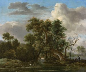 Metsäalueiden uima-allas tekijältä Jacob van Ruisdael