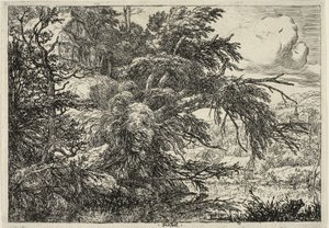 Mökki kukkulan huipulla tekijältä Jacob van Ruisdael