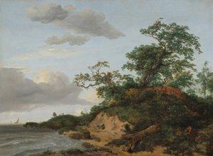 Dyynit meren rannalla, 1648. tekijältä Jacob van Ruisdael
